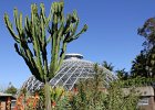 6. Mt Coot-tha Botanical Gardens